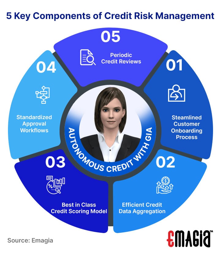 5 Key Components of Credit Risk Management, 1.Steamlined Customer Onboarding Process, 2.Efficient Credit Data Aggregation, 3.Best in Class Credit Scoring Model, 4.Standardized Approval Workflows, 5.Periodic Credit Reviews