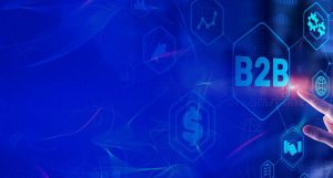 What are the key elements of B2B Customer Payment Portal?