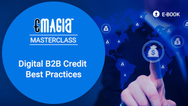 Digital B2B Credit Best Practices