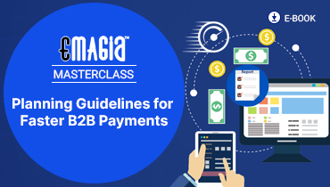 Planning Guidelines for Faster B2B Payments
