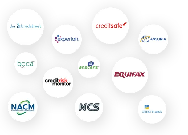 Integrated with Leading Credit Bureaus: Credit risk management software